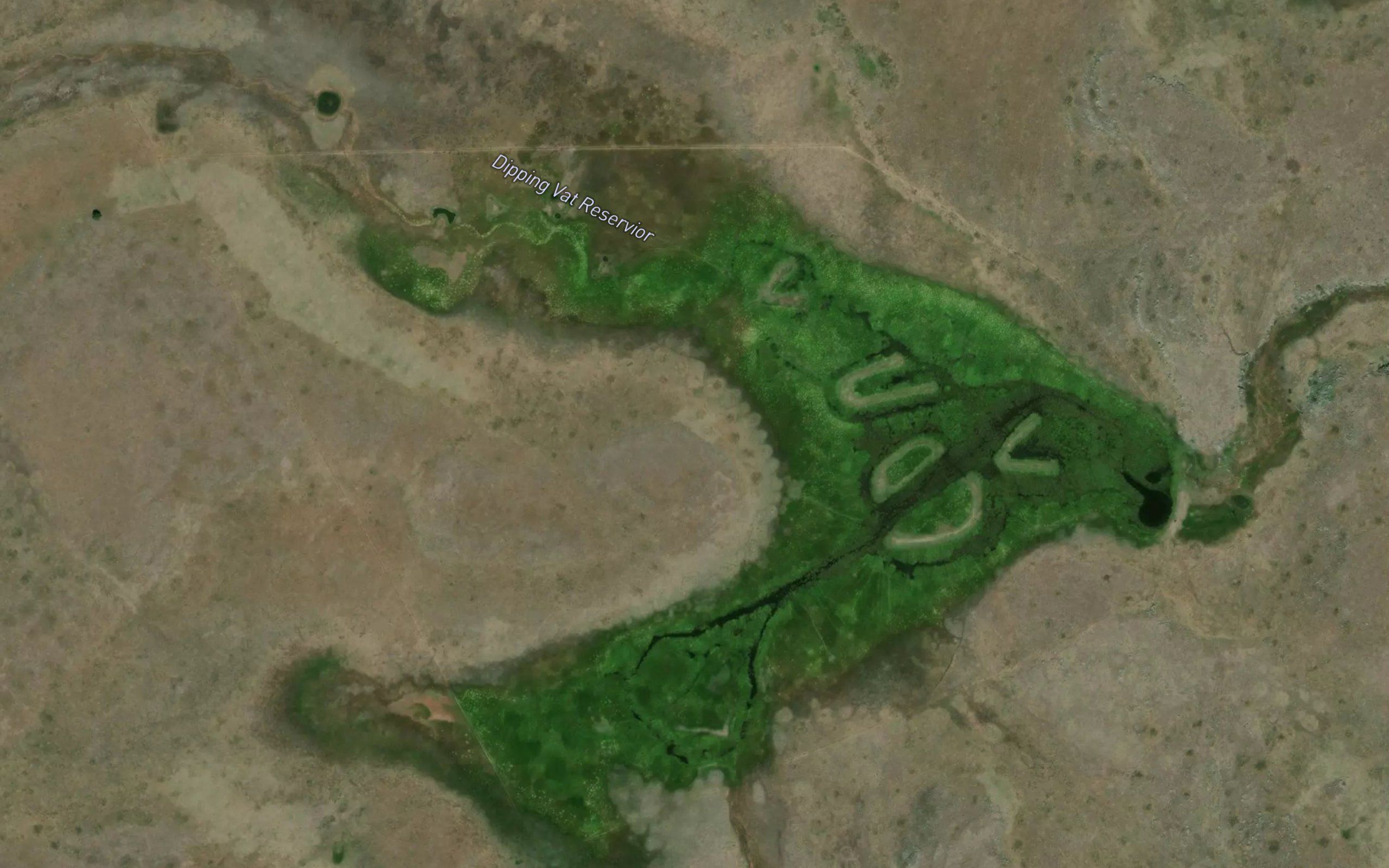 Dipping Vat Reservoir