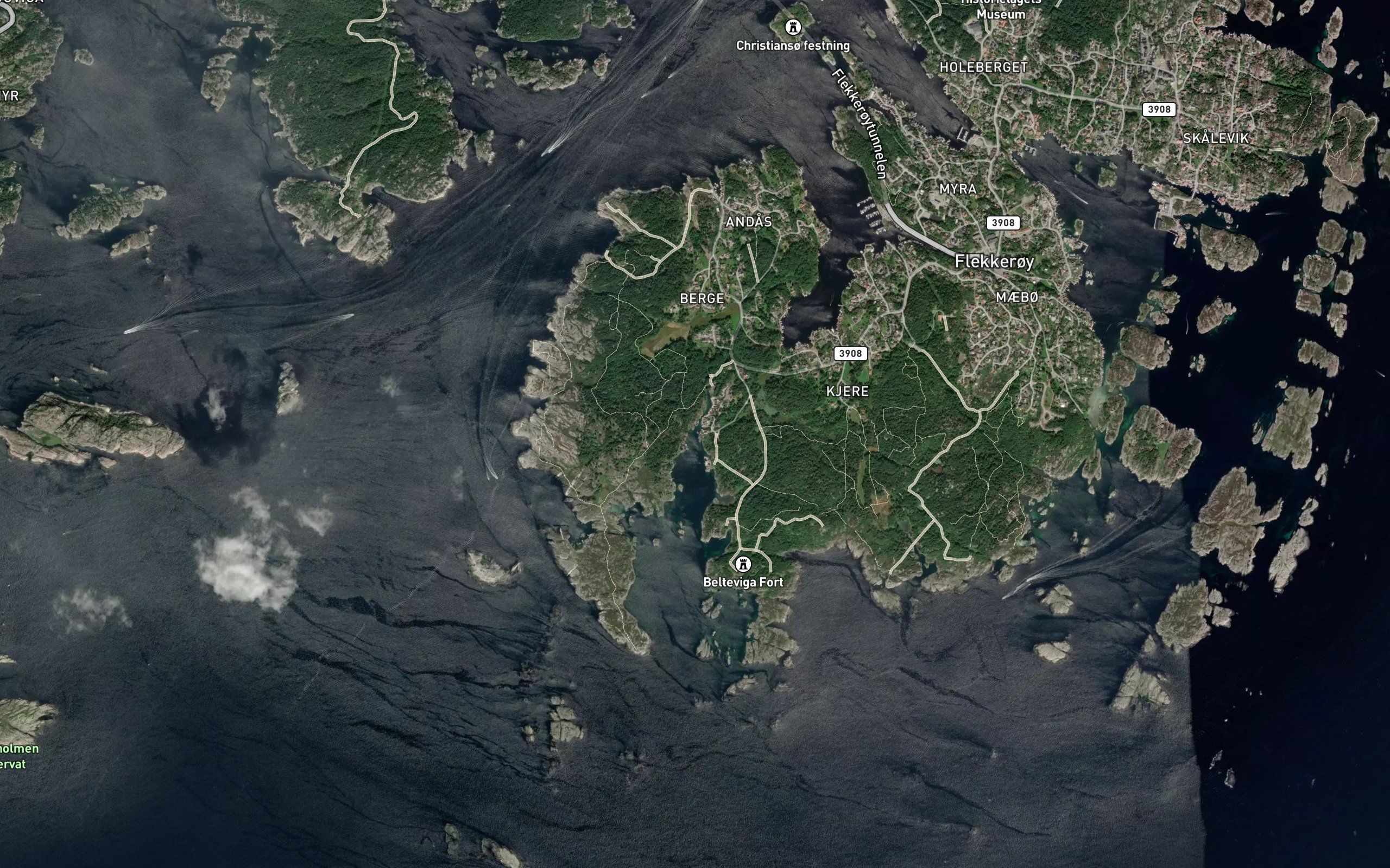 Hvalbukta