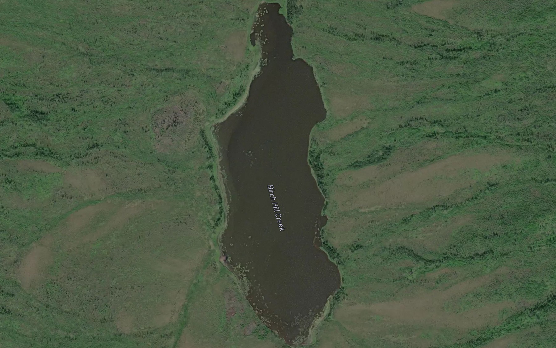 Satellite map of the Birch Hill Lake
