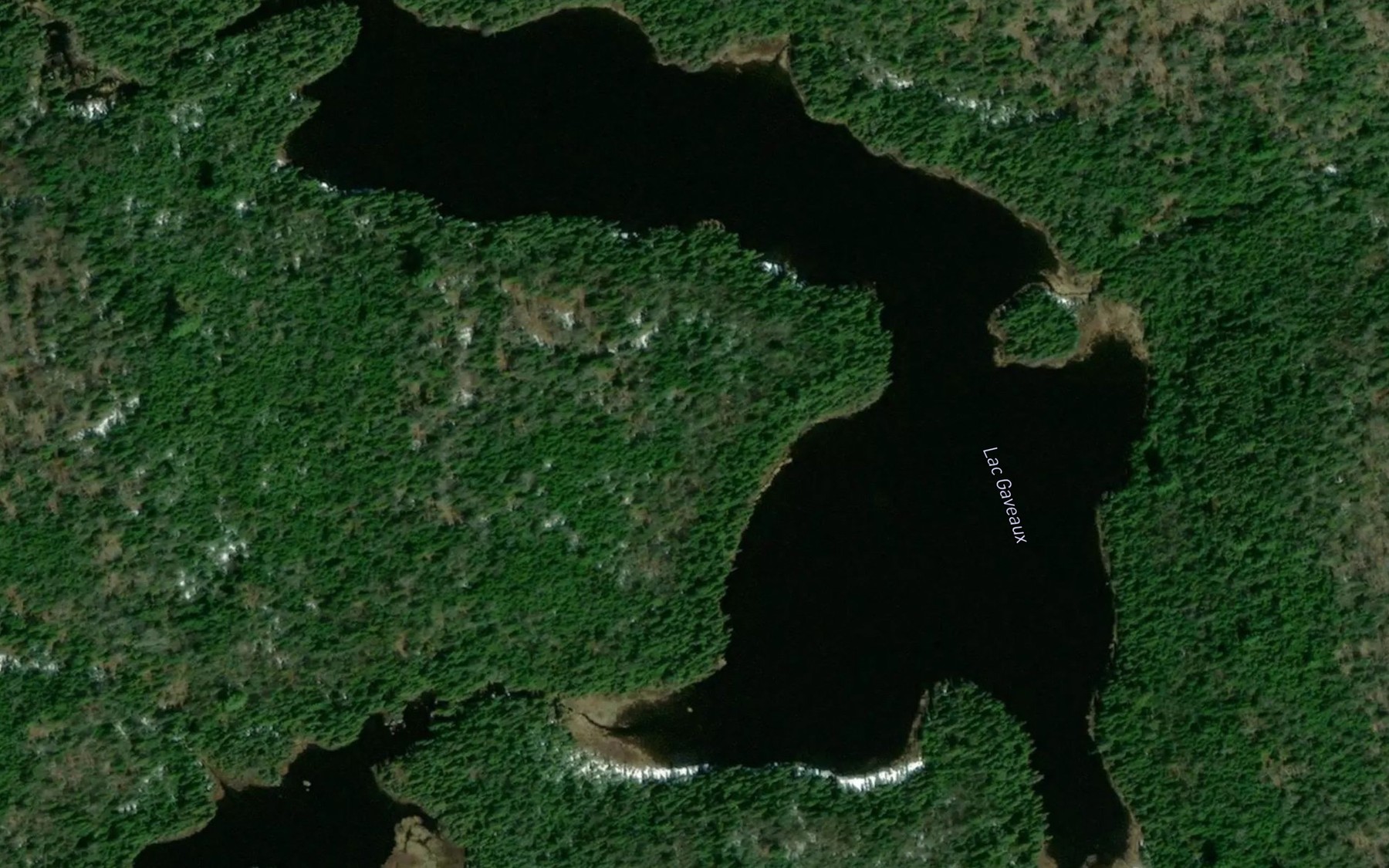 Satellite map of the Lac Gaveaux