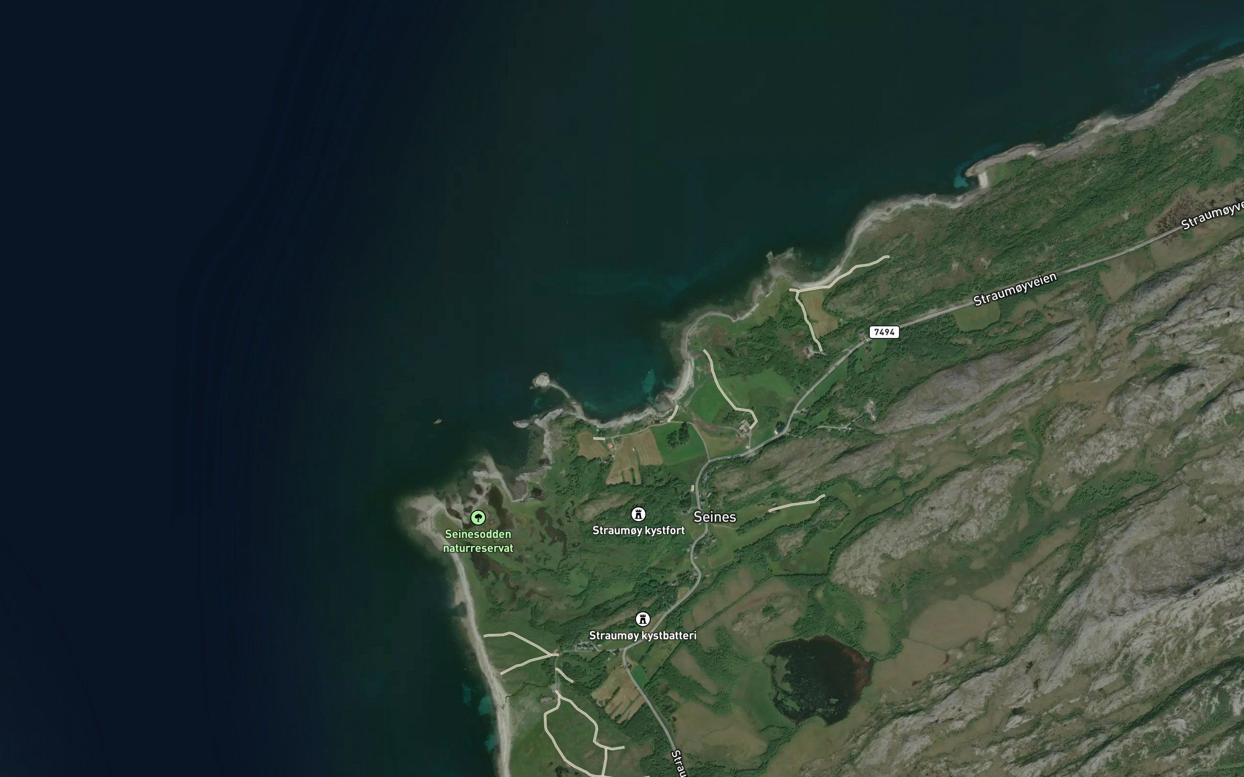 Seinesvika