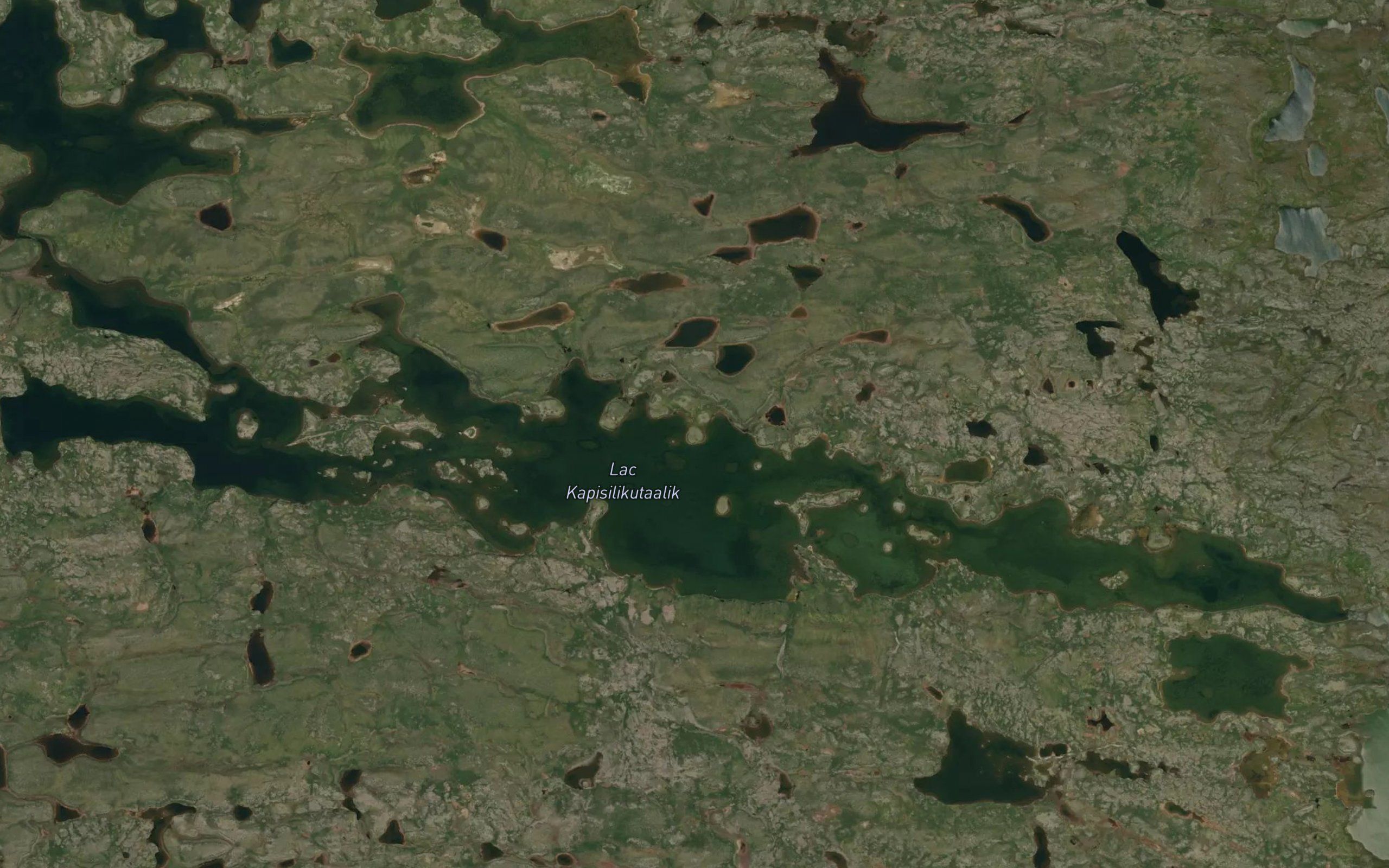 Lac Kapisilikutaalik