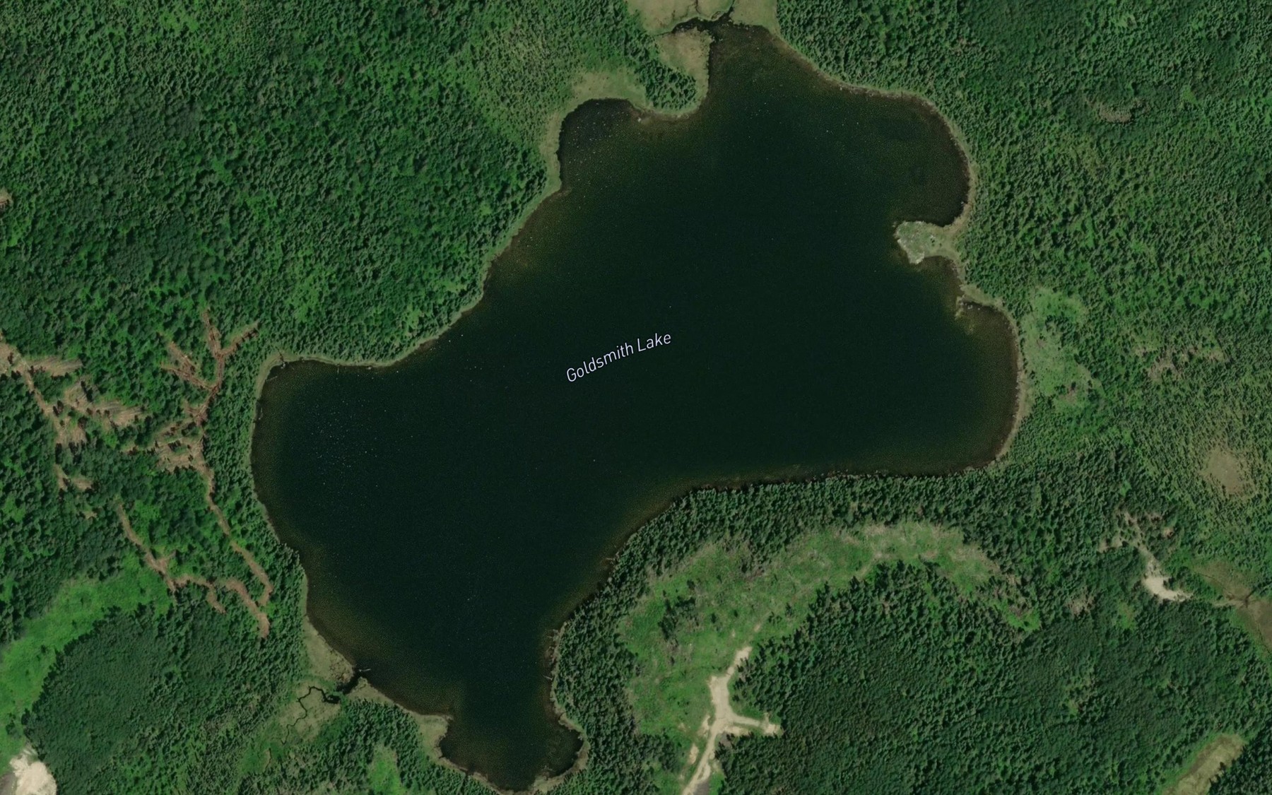 Satellite map of the Goldsmith Lake