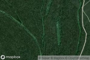 Forked Lake