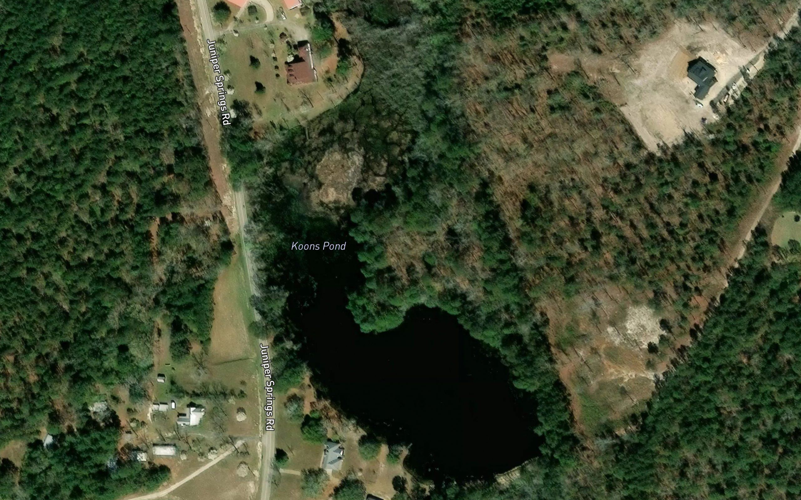 Koons Pond