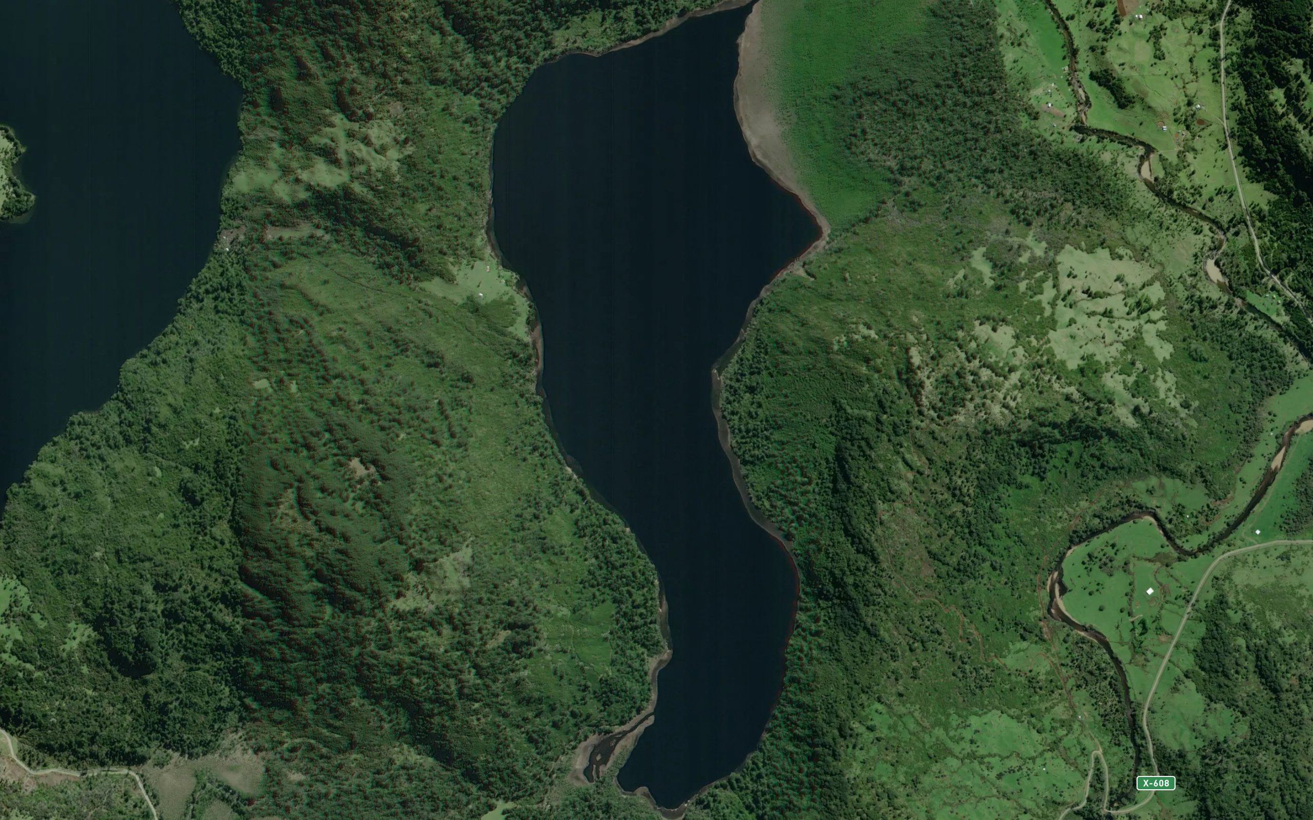 Lago Pengifo Dorita