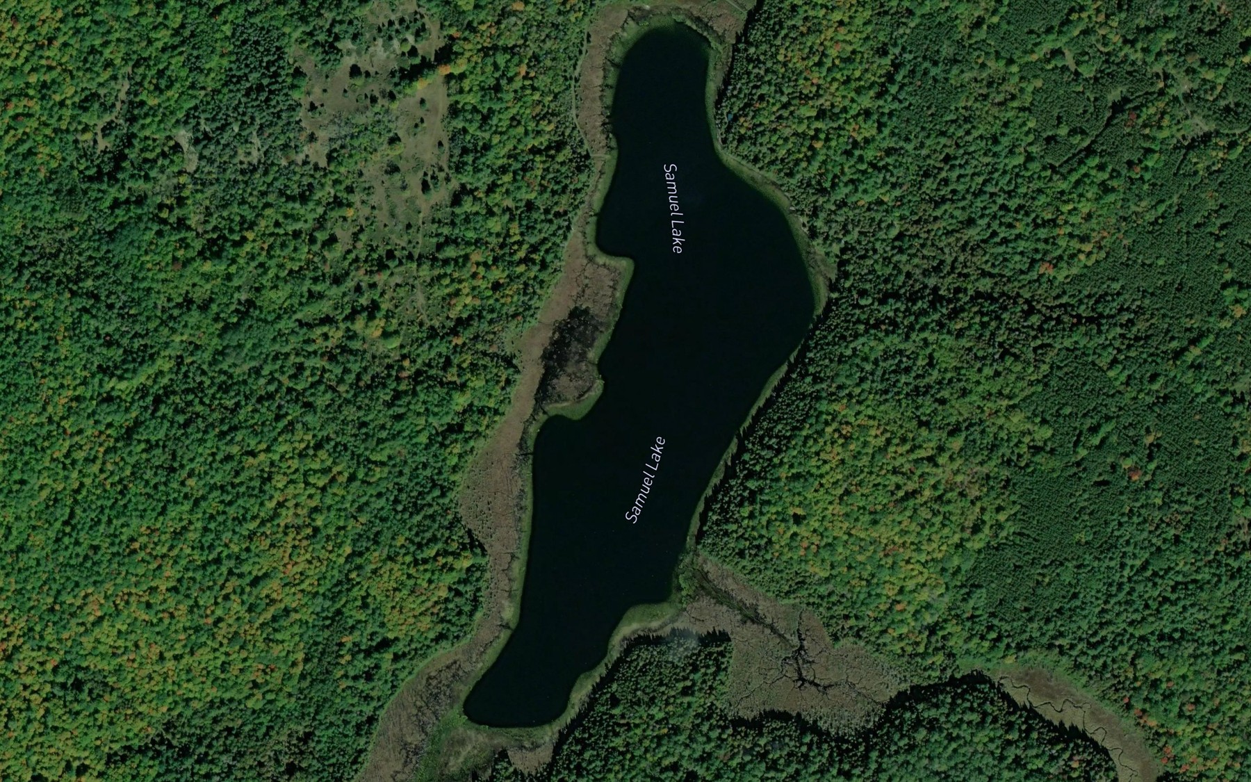 Satellite map of the Samuel Lake