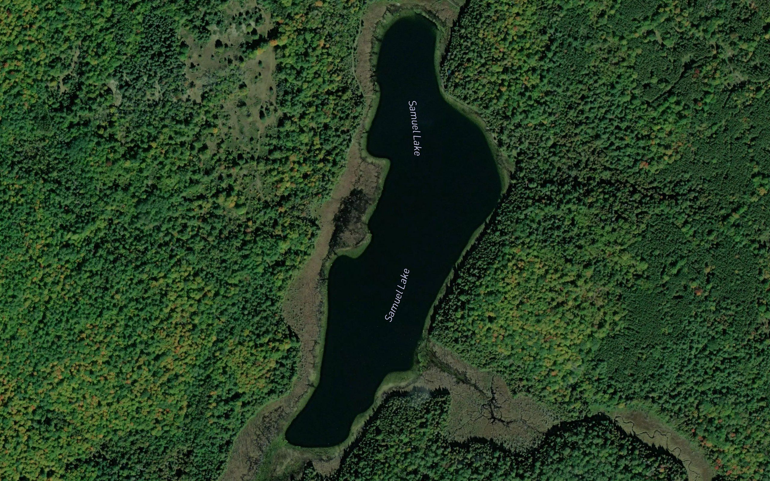 Samuel Lake