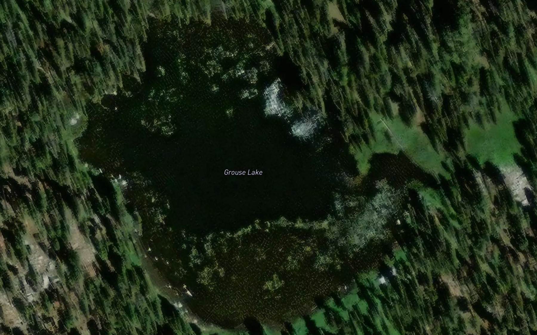 Satellite map of the Grouse Lake