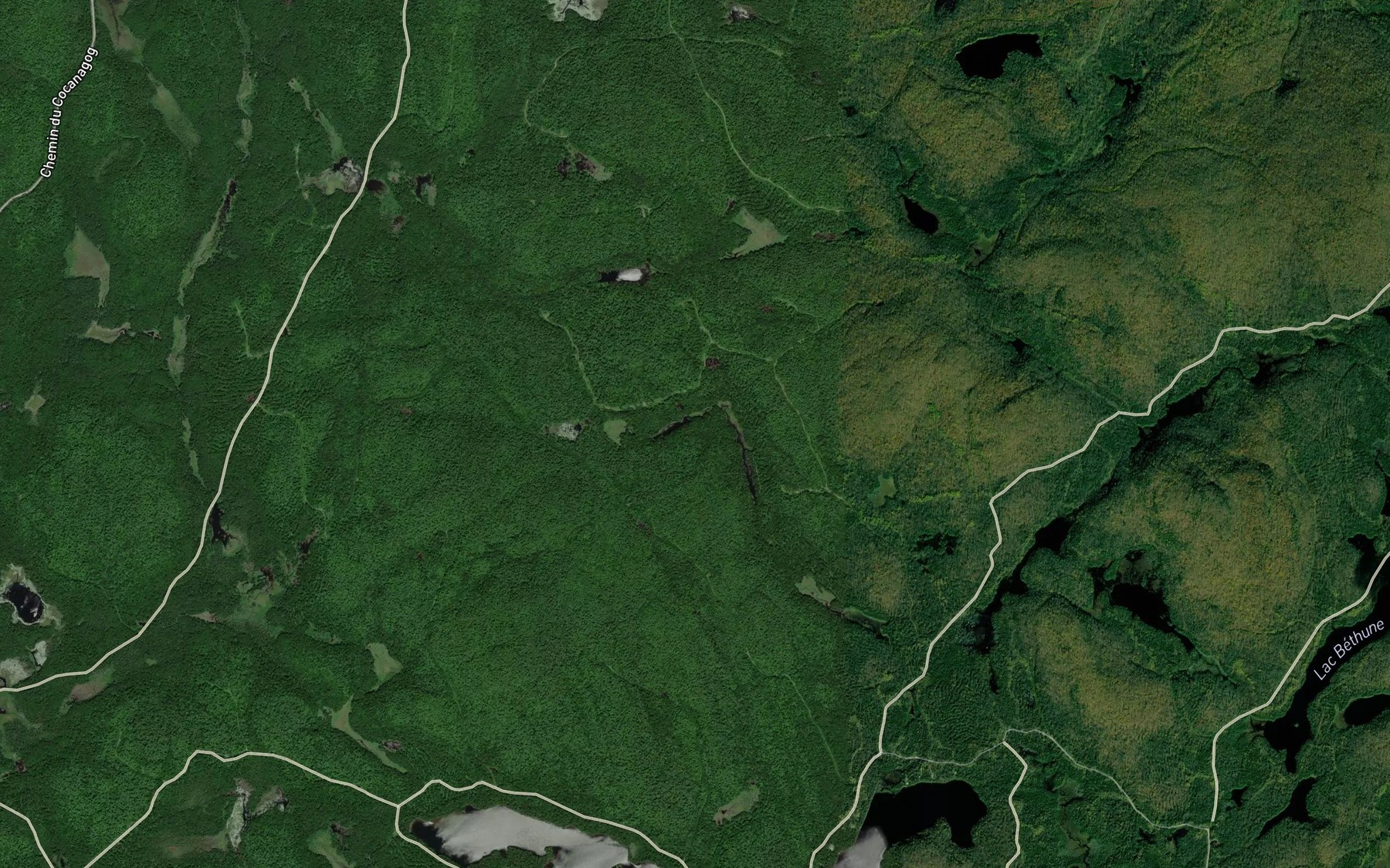 Satellite map of the Lac Tom