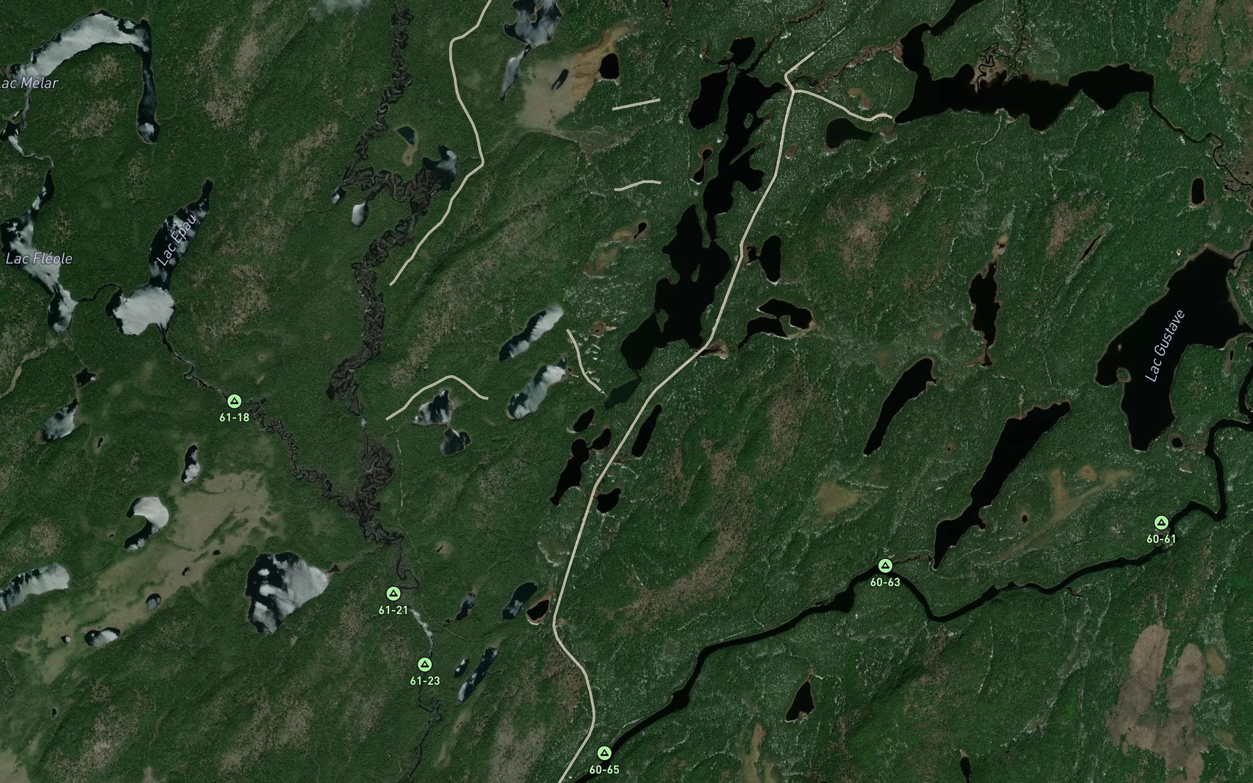 Satellite map of the Lac Paillon