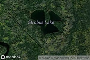 Strobus Lake