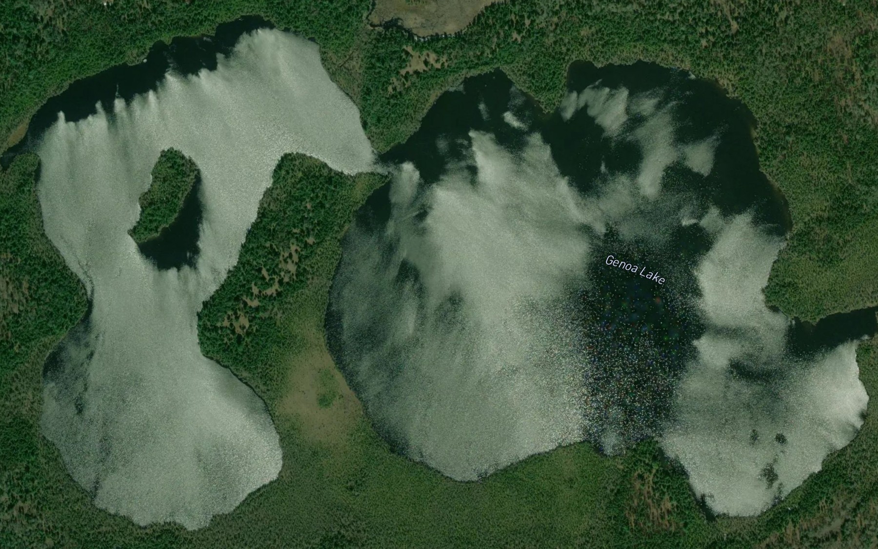 Satellite map of the Genoa Lake