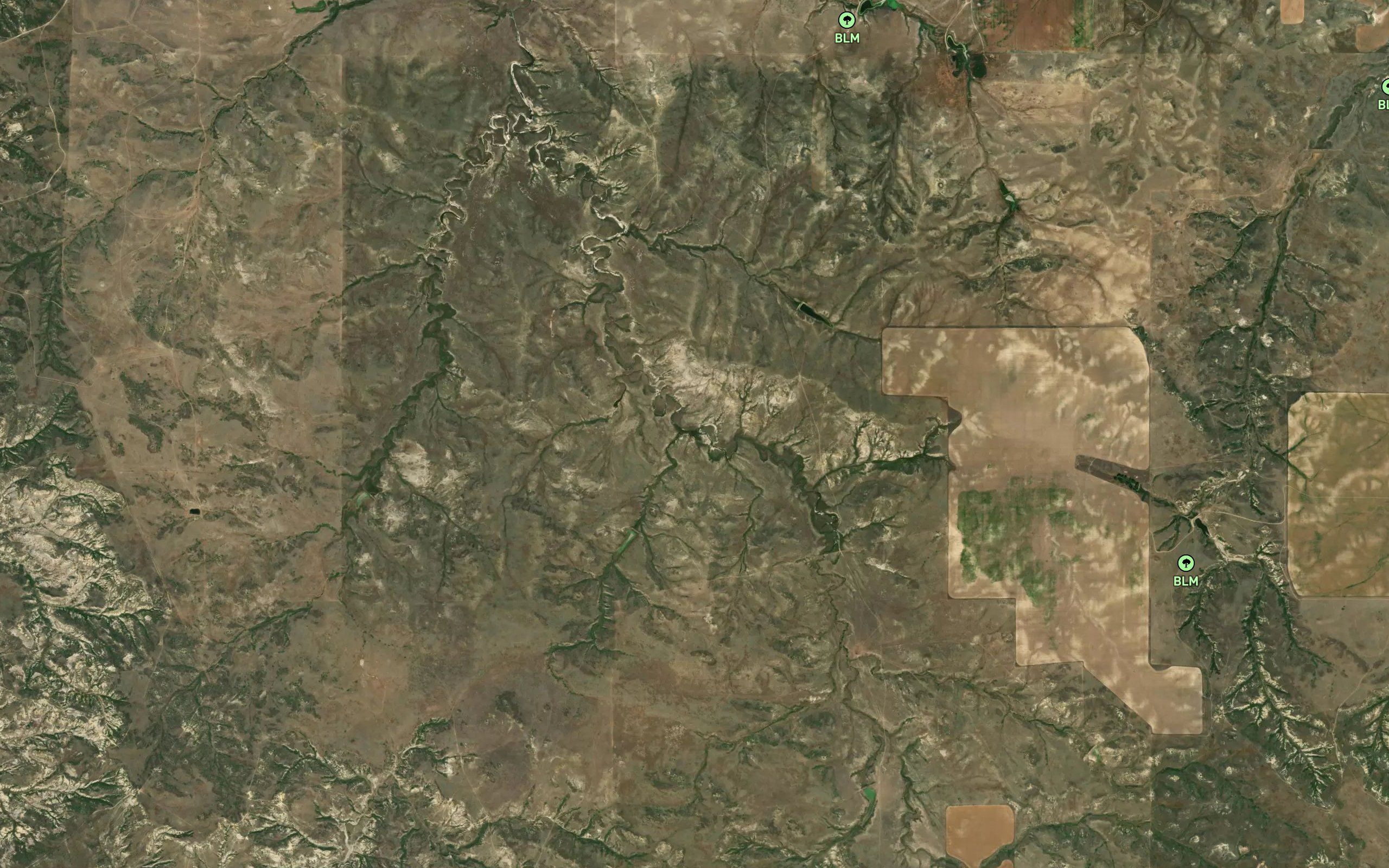 Dailey Spring