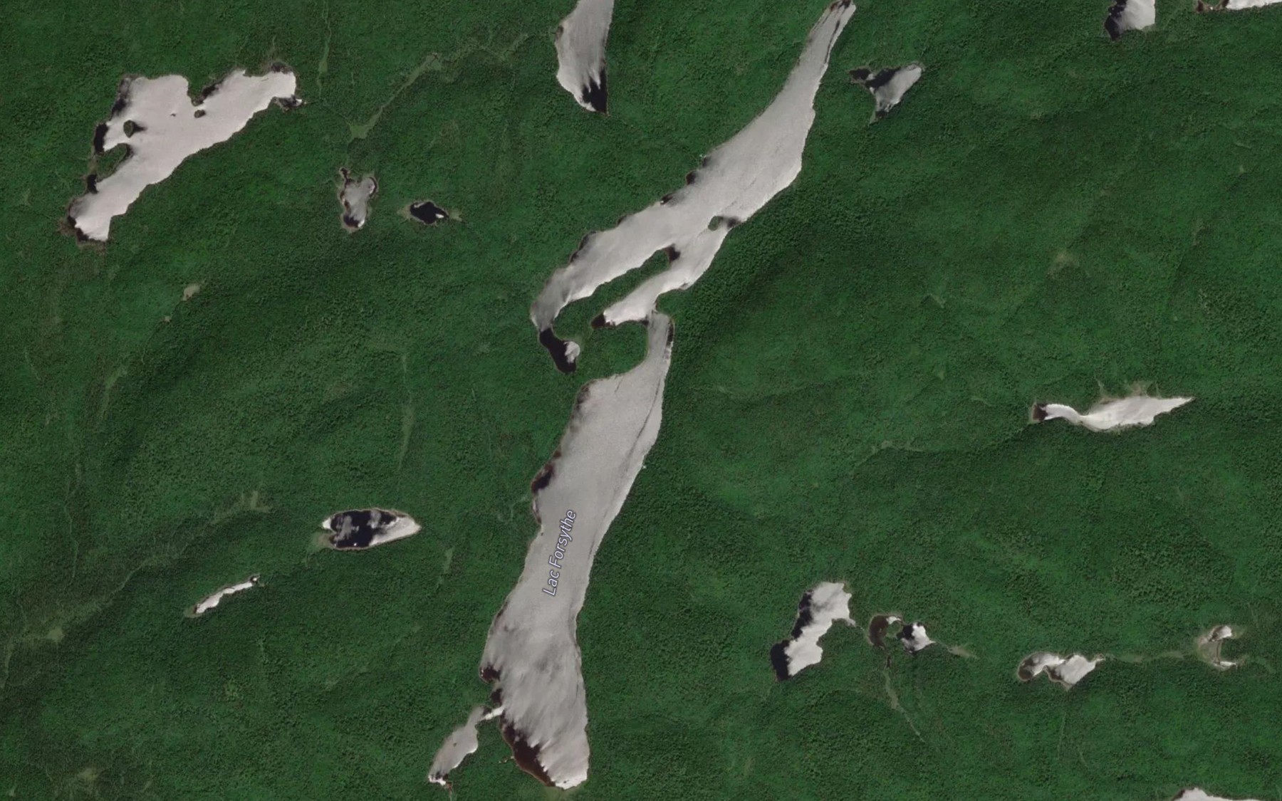 Satellite map of the Lac Forsythe