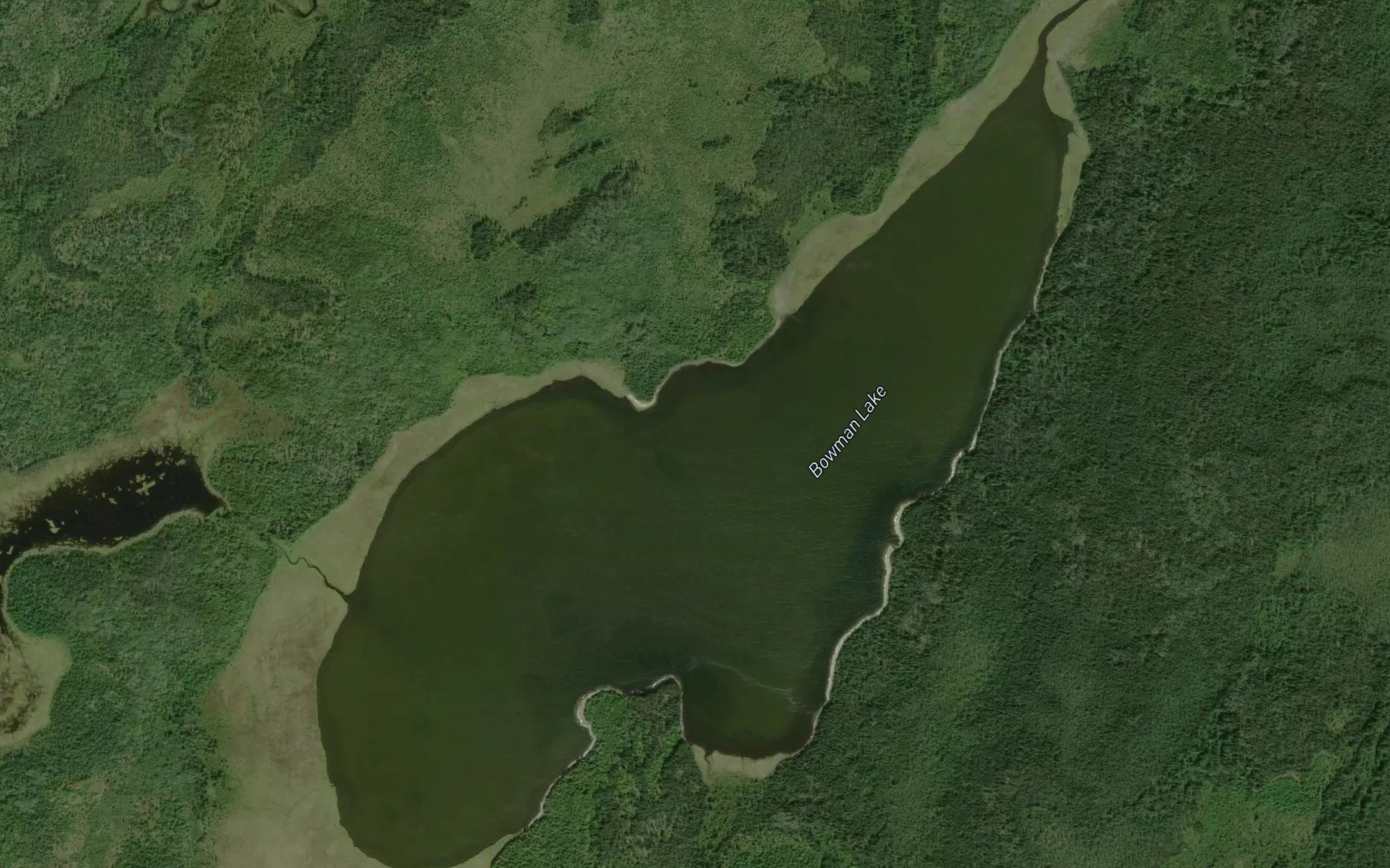 Satellite map of the Bowman Lake