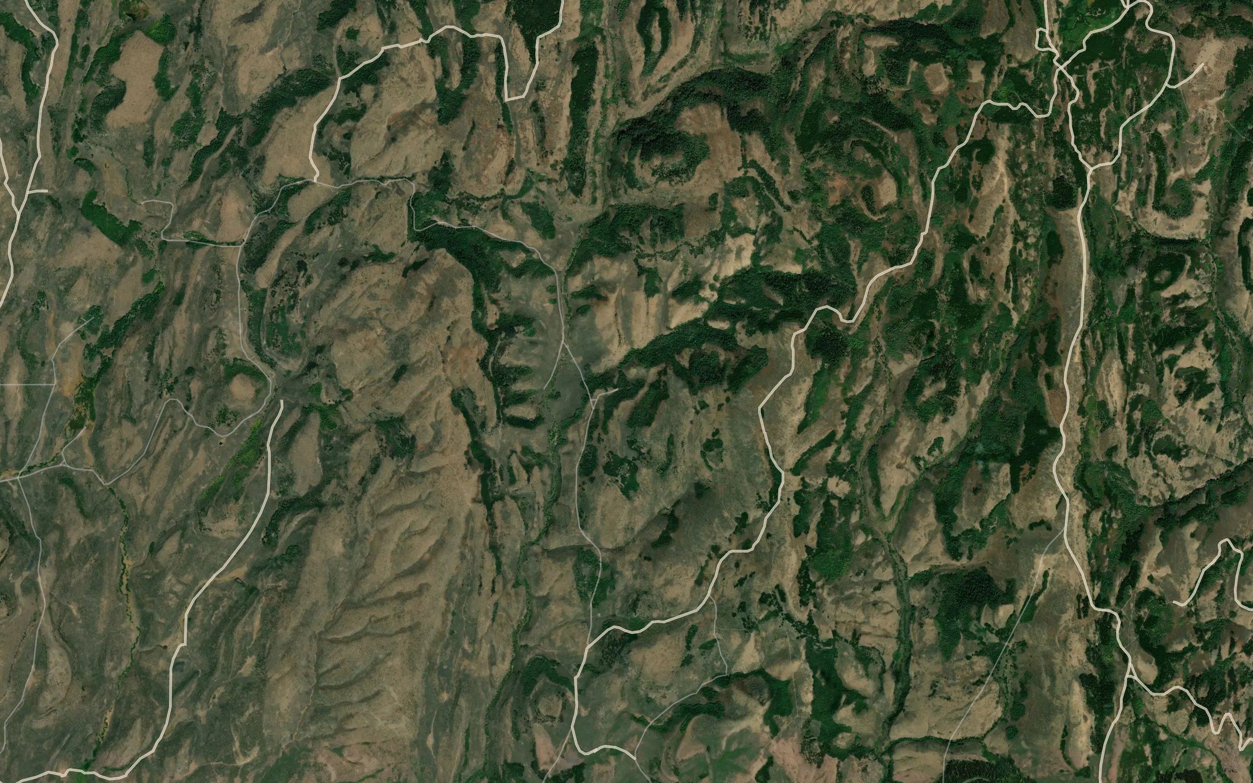 Diamond Flat Spring