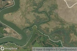 First Mallard Branch