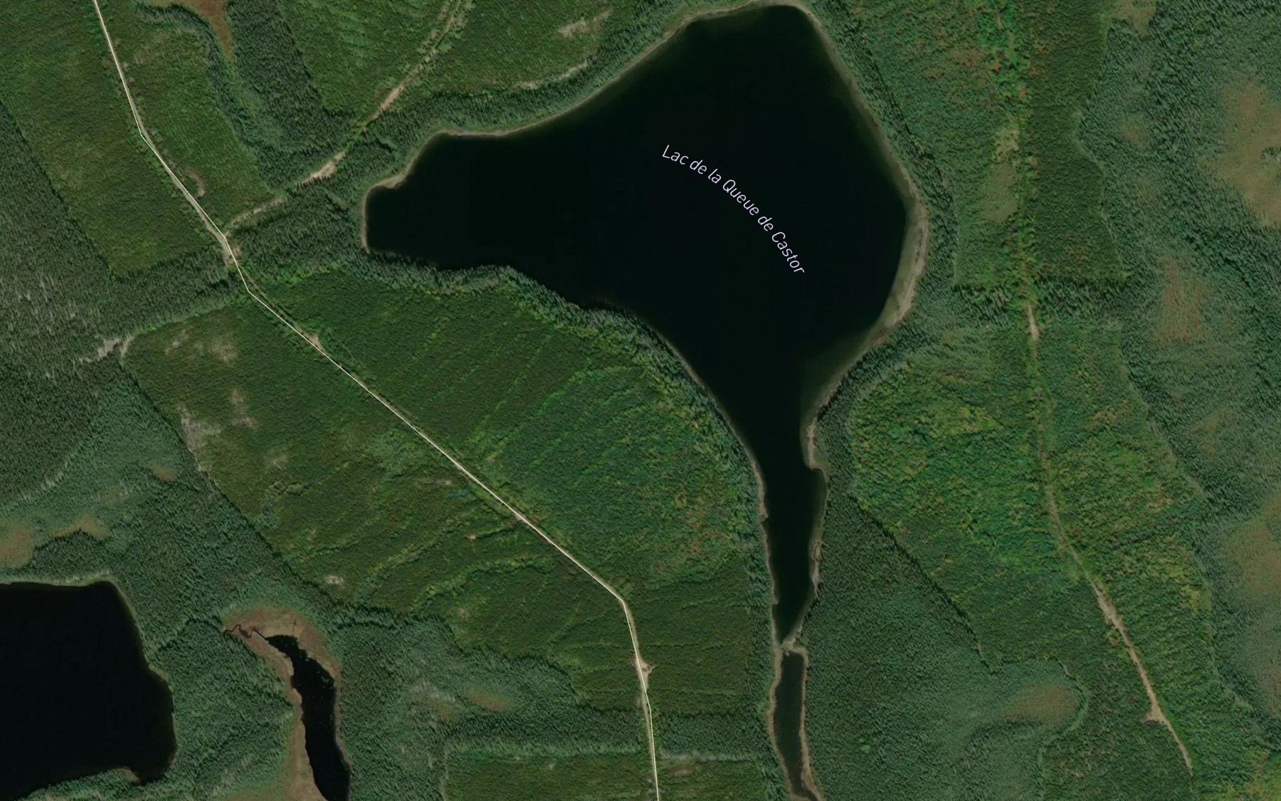 Satellite map of the Lac de la Queue de Castor