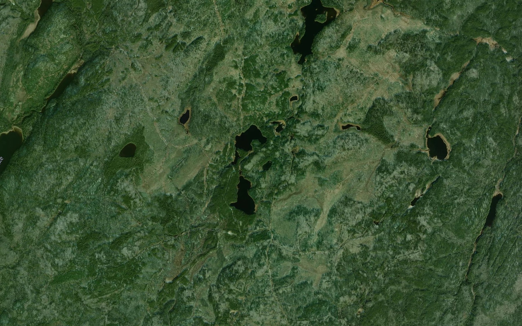 Satellite map of the Healy Pond