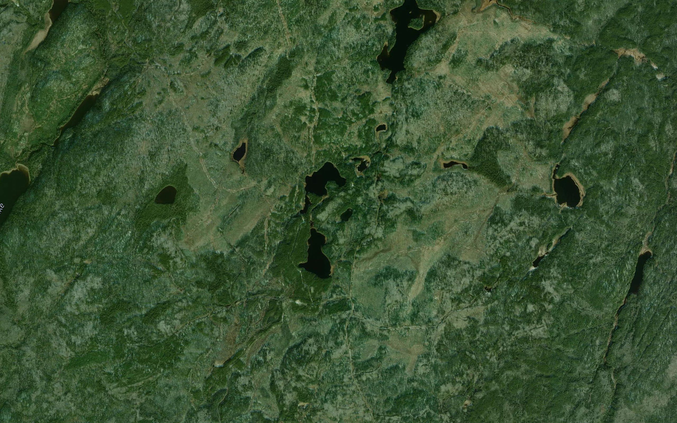 Healy Pond