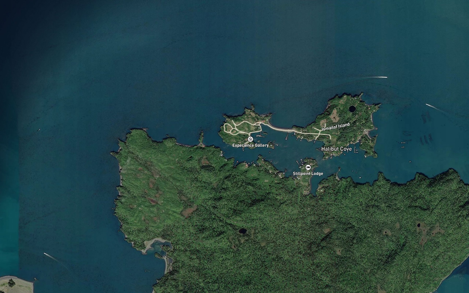 Satellite map of the The Narrows