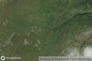 Ruglandsgrovi