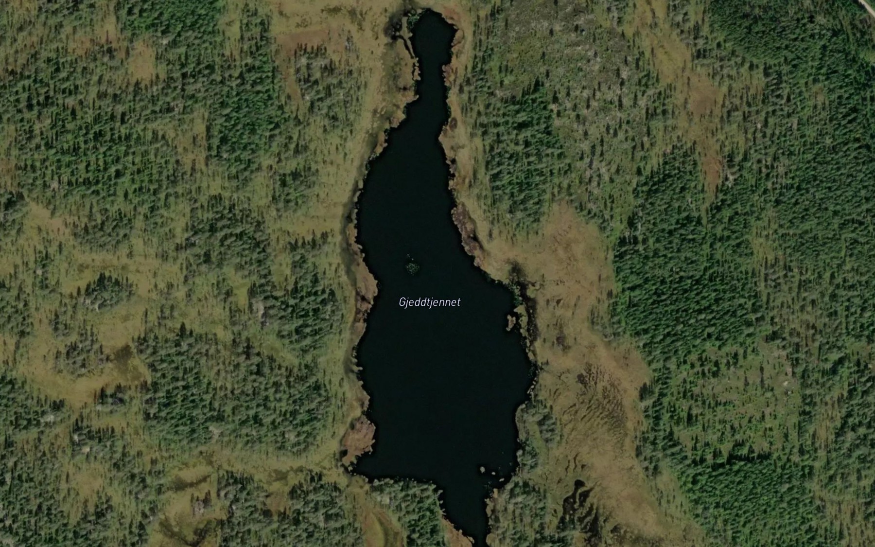 Satellite map of the Gjeddtjernet