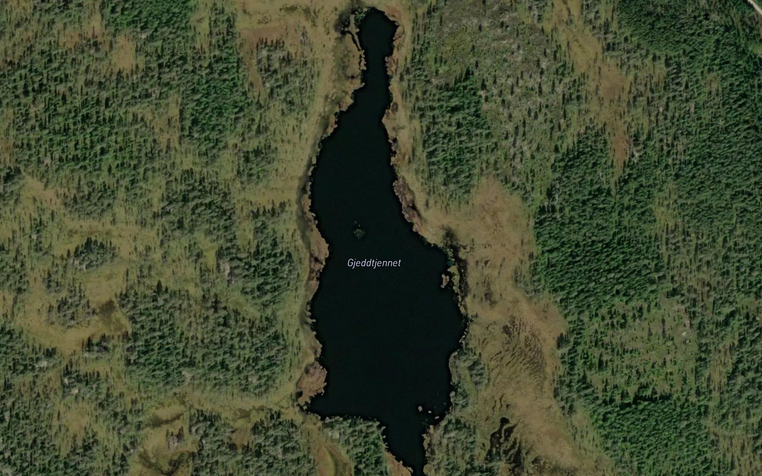 Gjeddtjernet