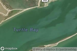 Turtle Bay