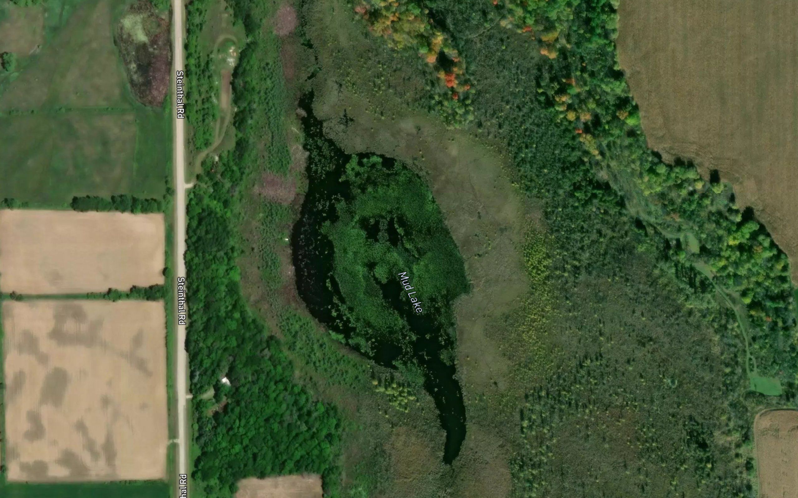 Mud Lake