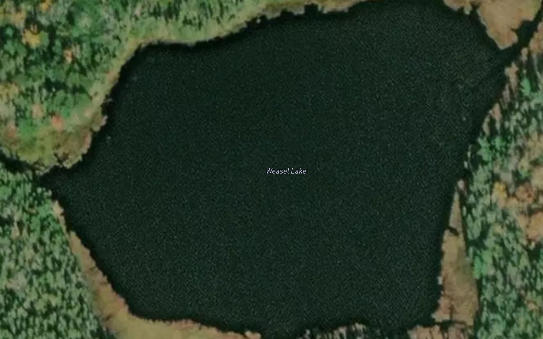 Satellite map of the Weasel Lake