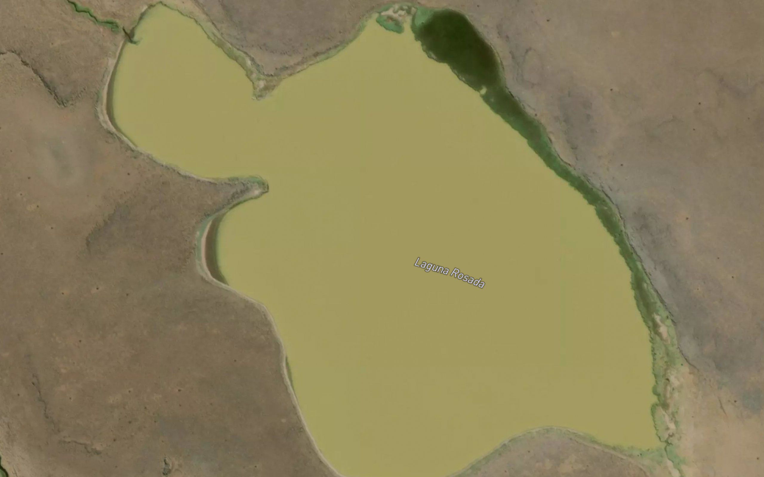 Laguna Rosada