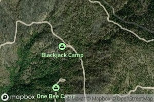 Blackjack Spring