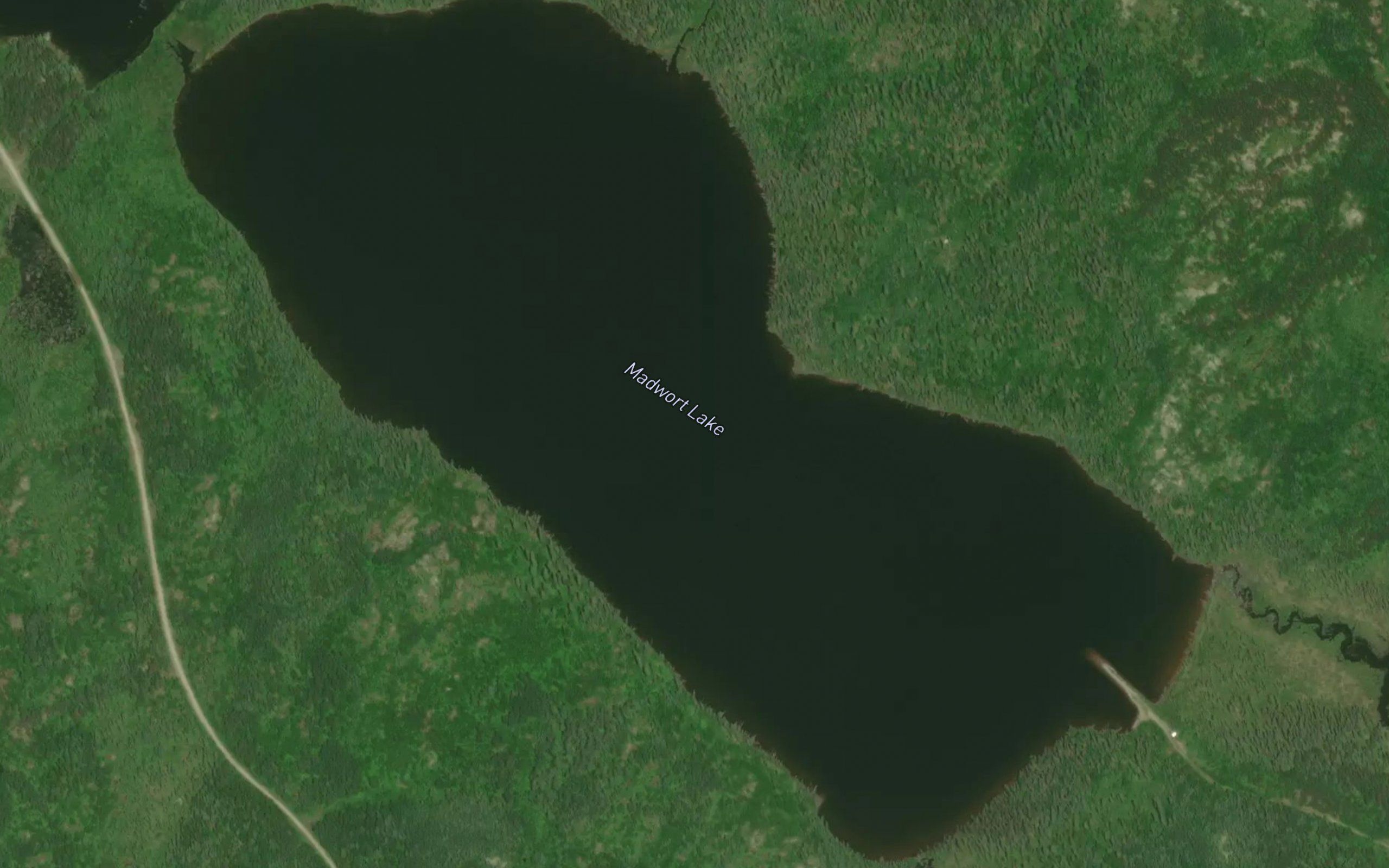 Madwort Lake