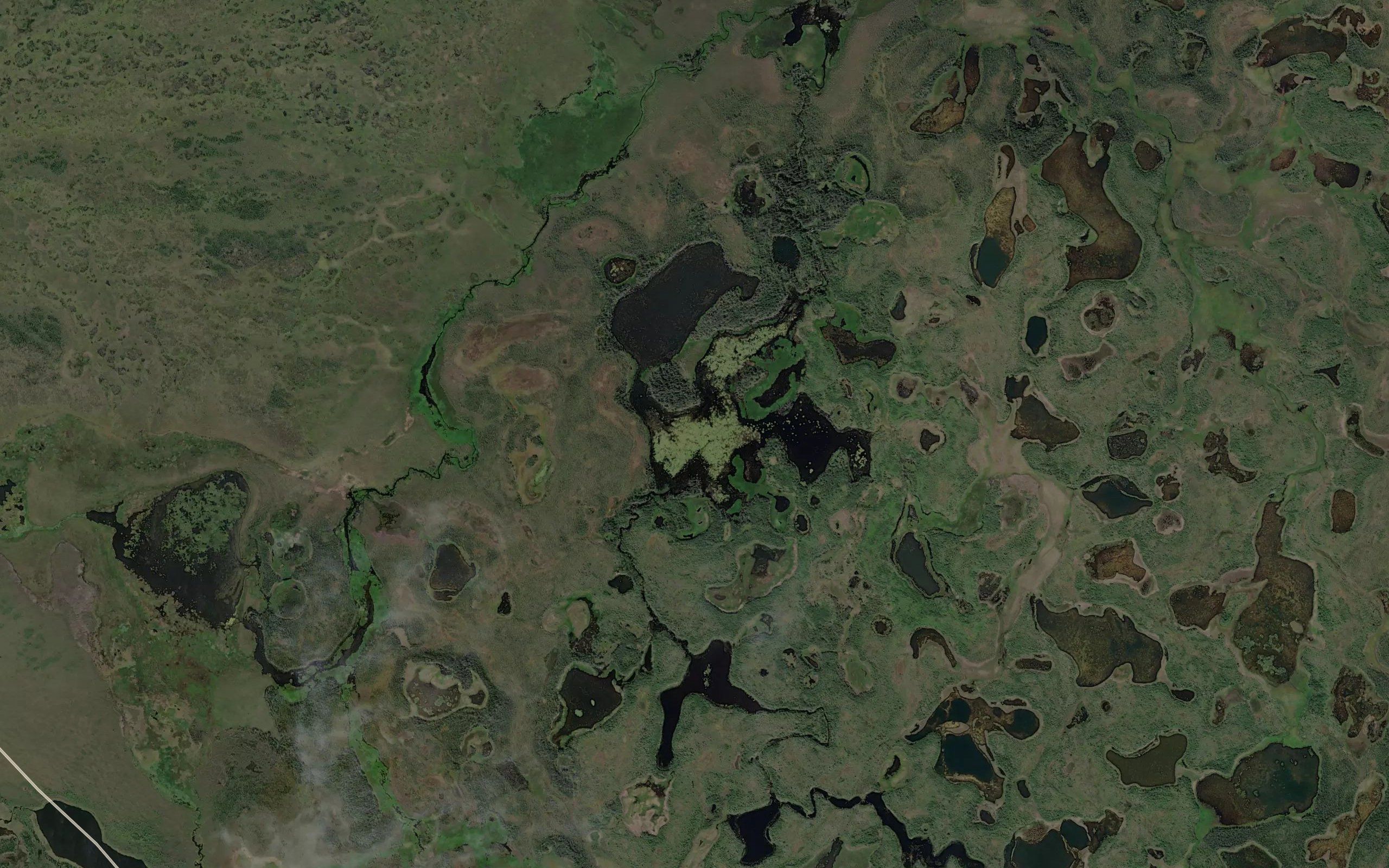 Fish Lakes