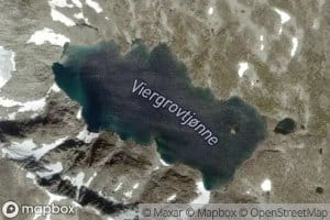Viergrovtjorni