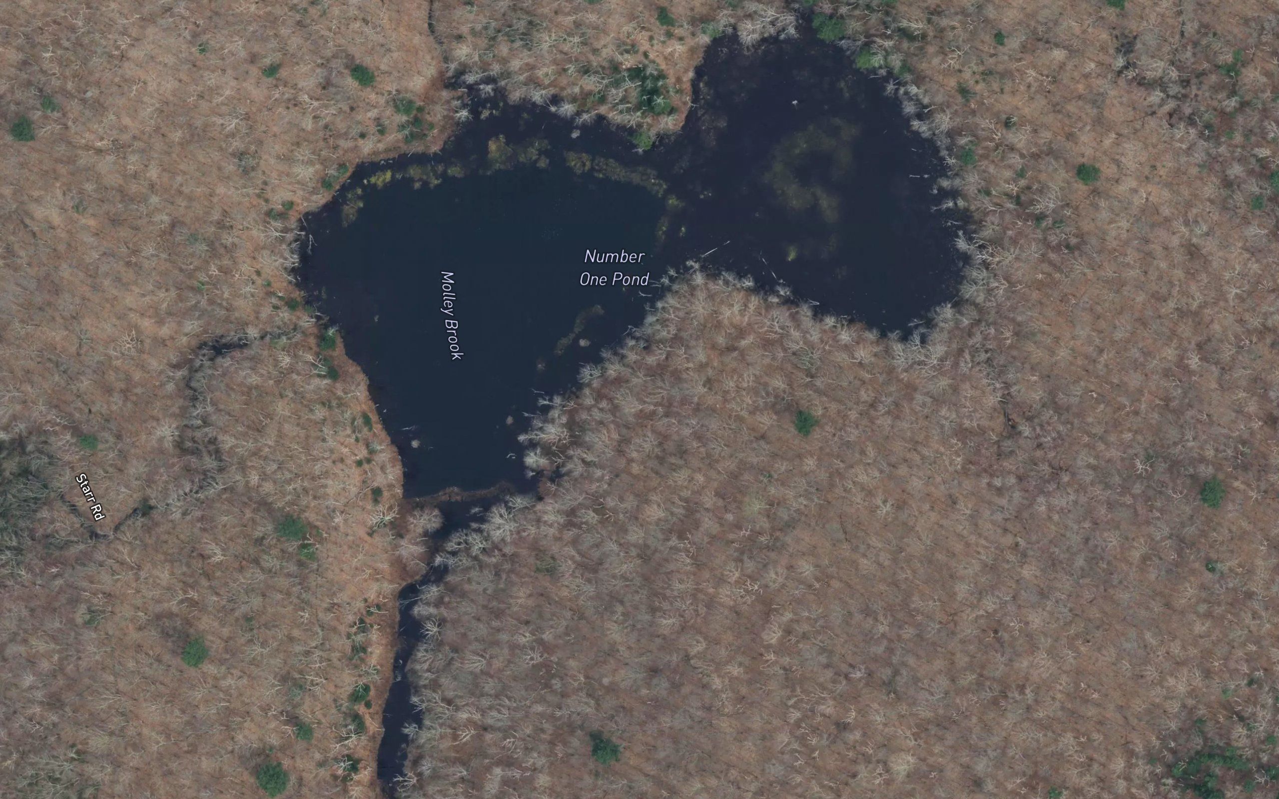 Number One Pond