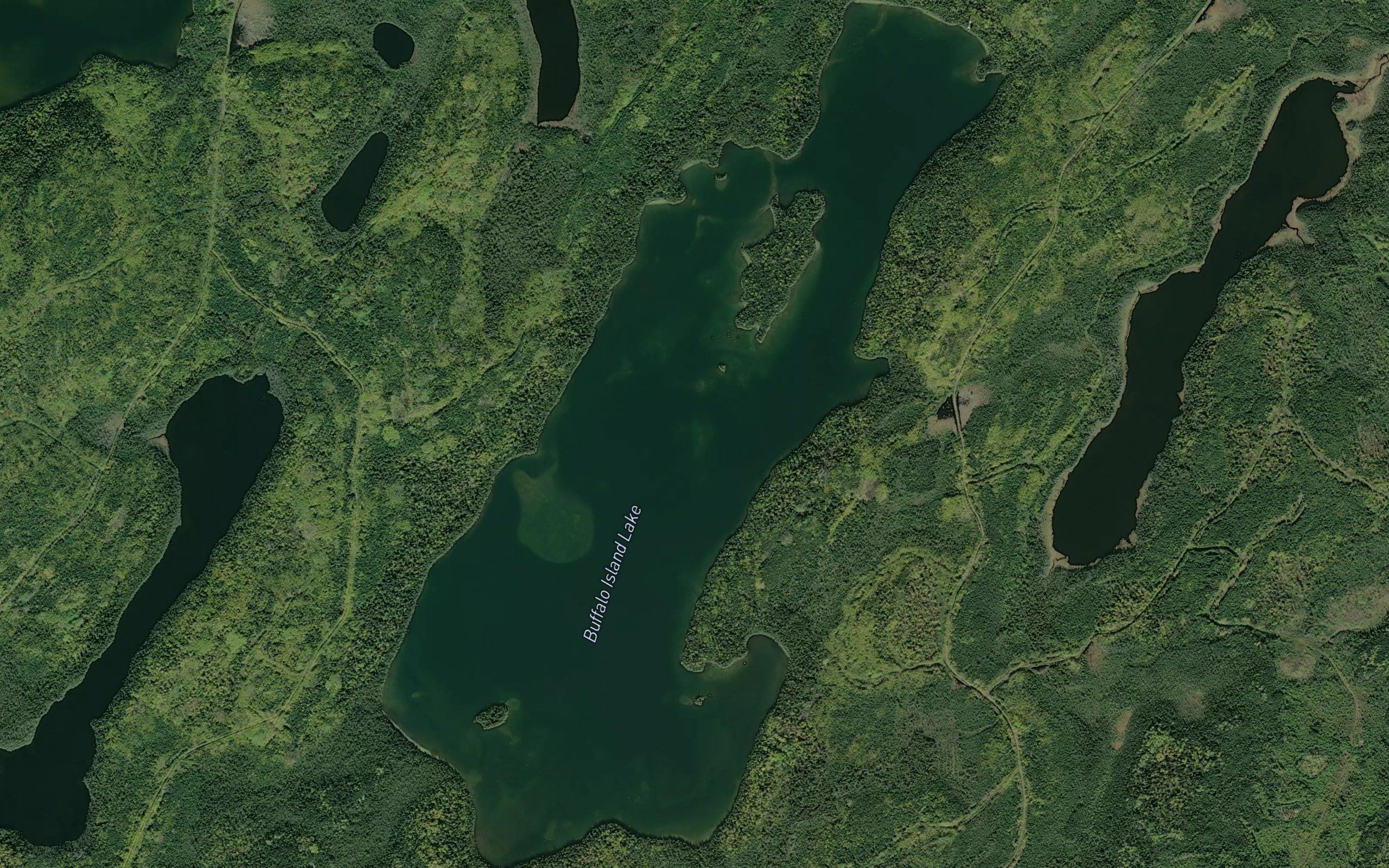 Buffalo Island Lake