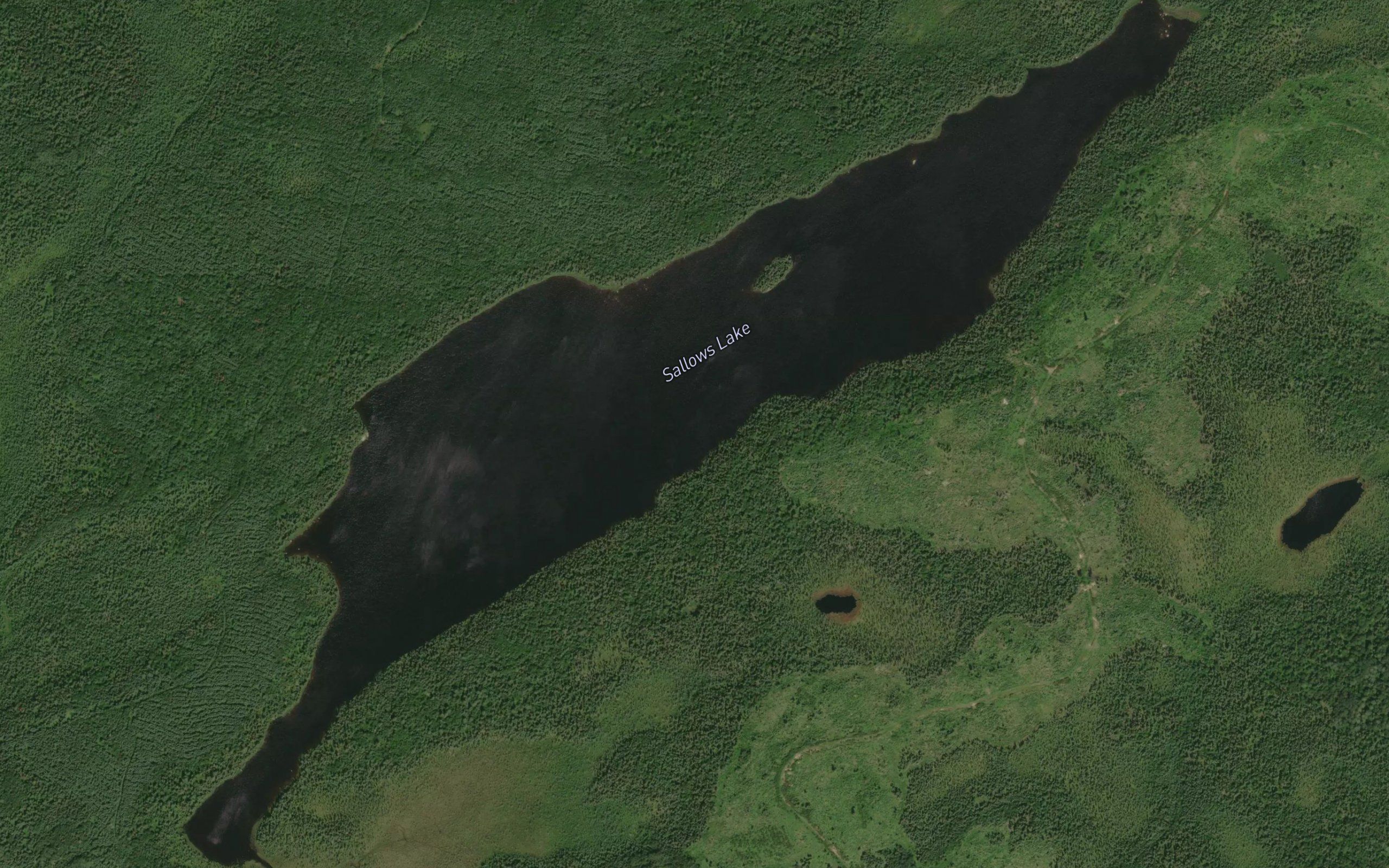 Sallows Lake