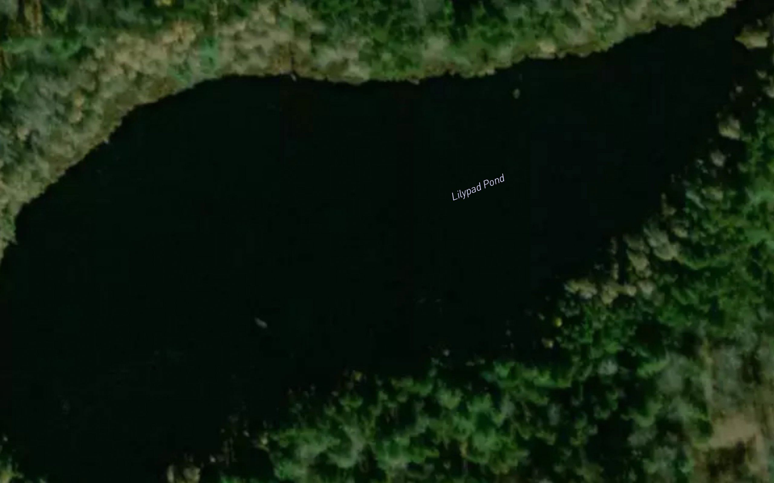 Lilypad Pond