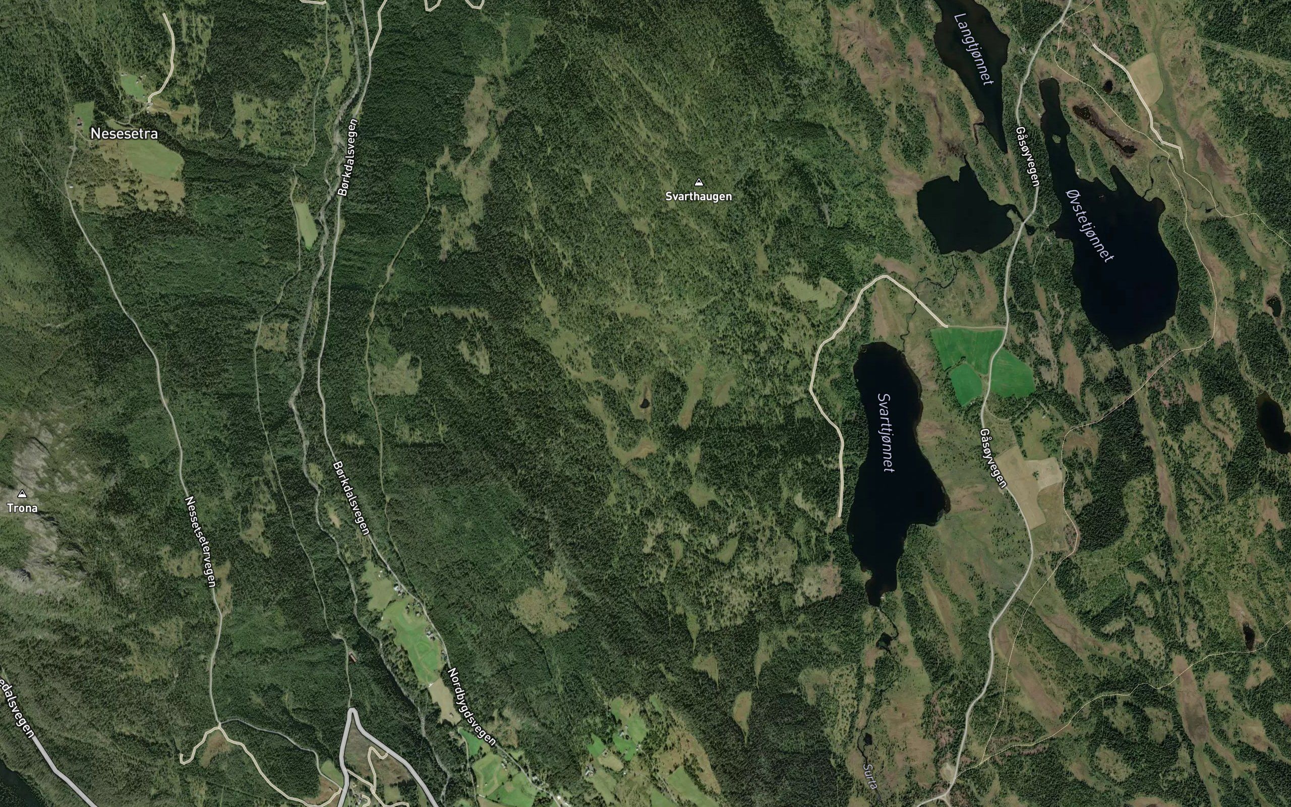 Elgslett-tjernet