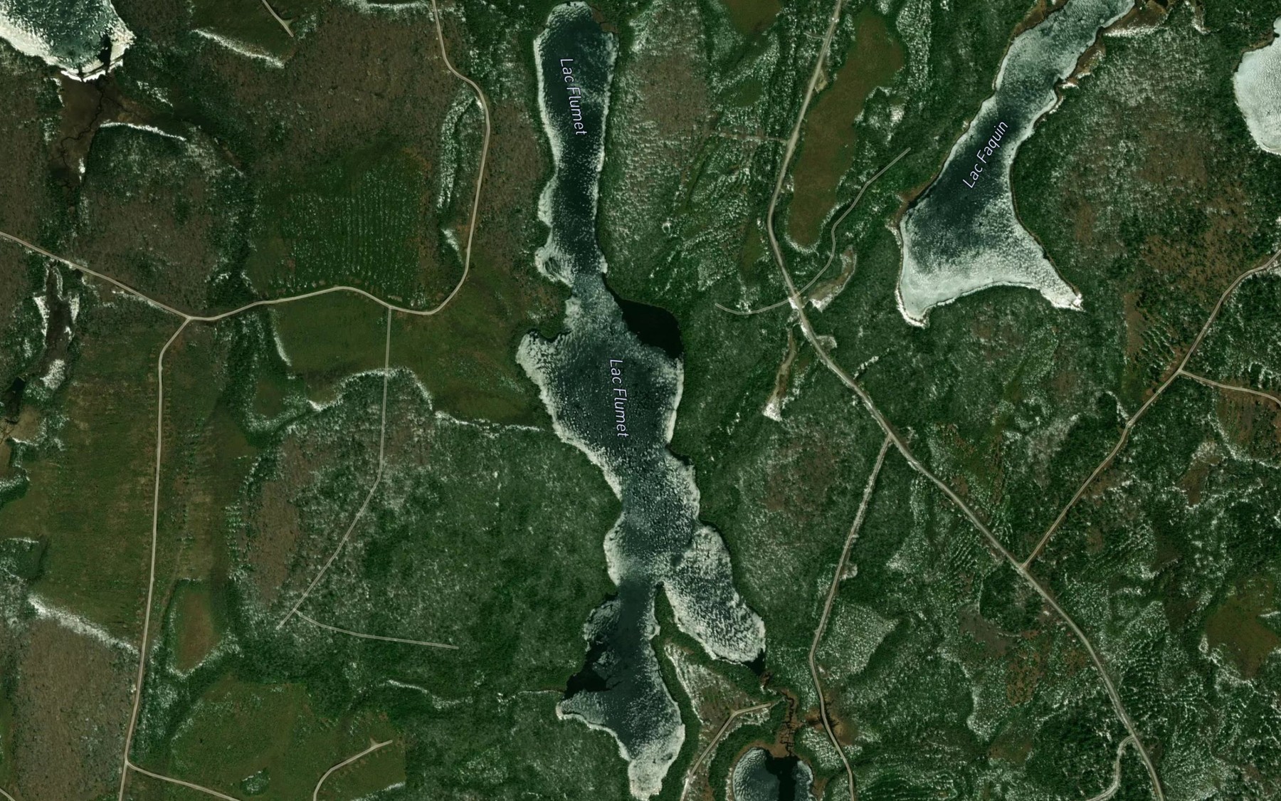 Satellite map of the Lac Flumet