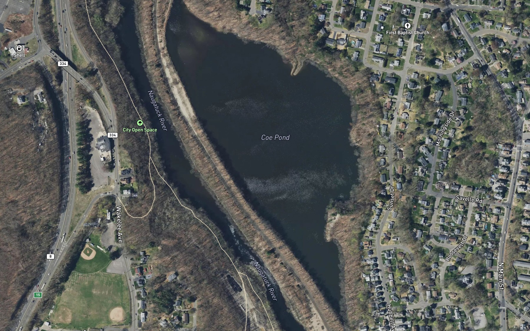 Satellite map of the Coe Pond