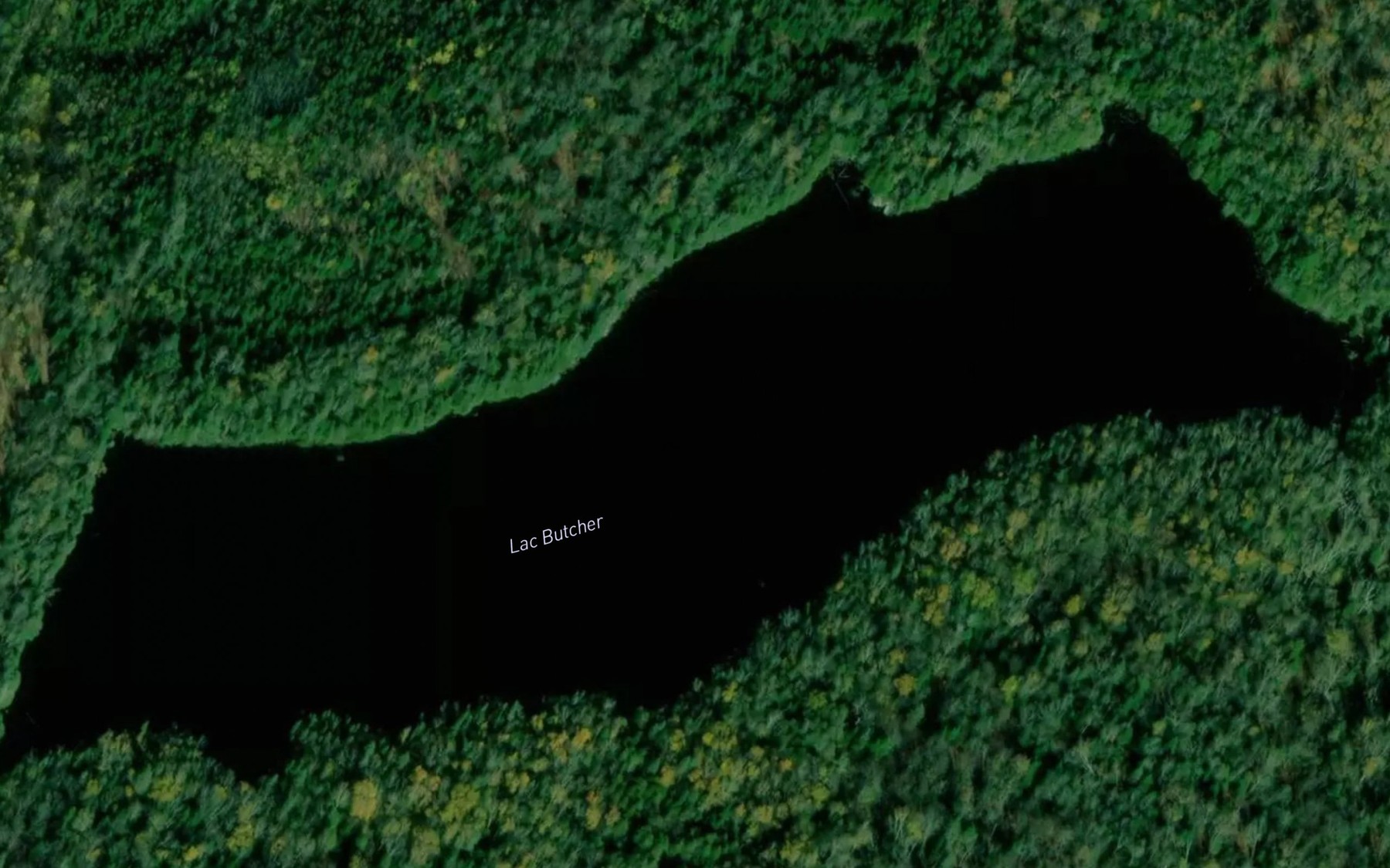 Satellite map of the Lac Butcher