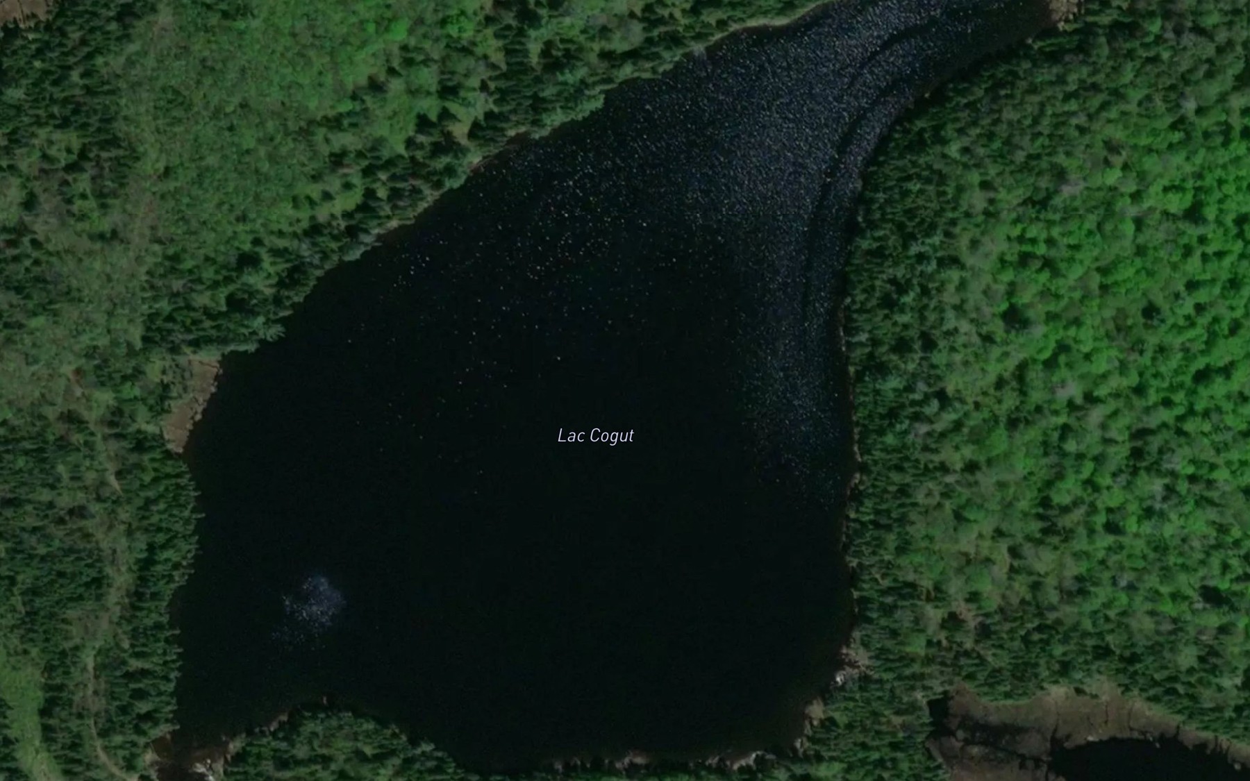 Satellite map of the Lac Cogut