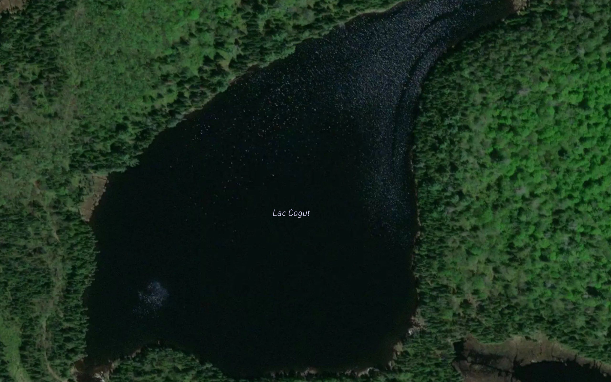 Lac Cogut