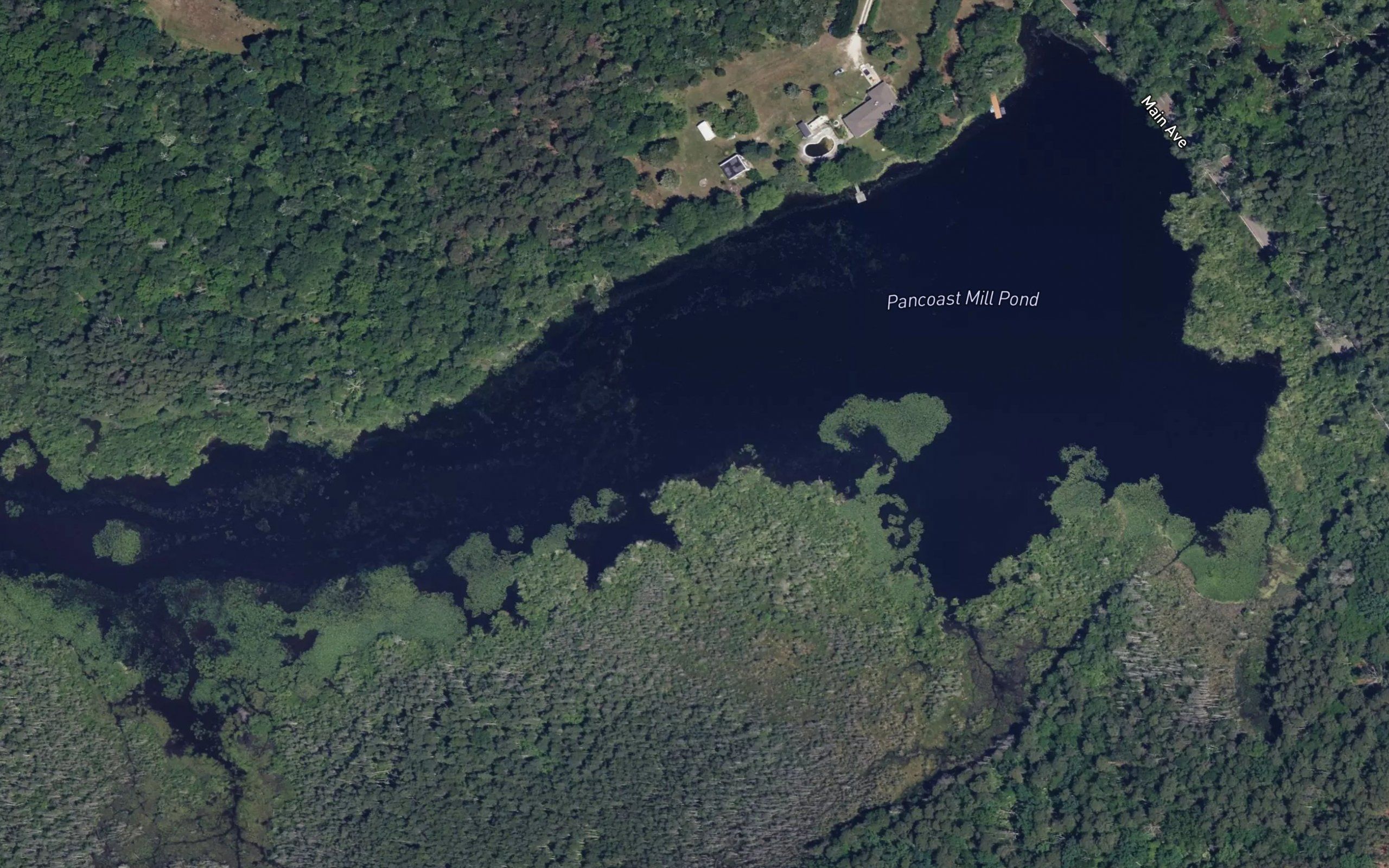 Pancoast Mill Pond