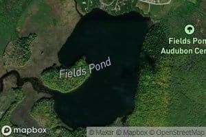 Fields Pond
