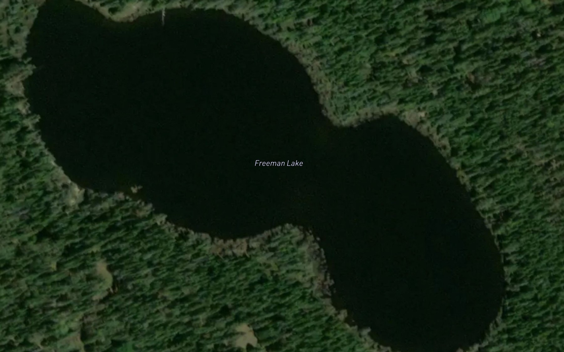 Satellite map of the Freeman Lake